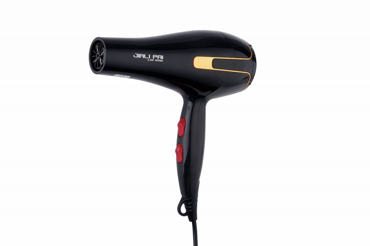 Hair Dryer JL-8300